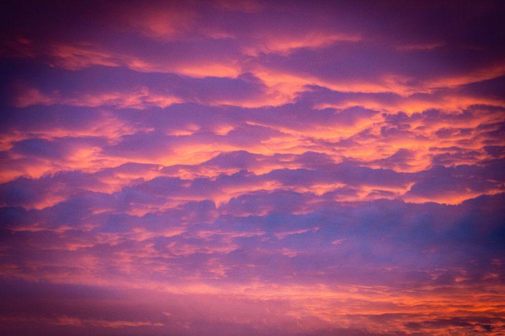 Фотография автора Sarah guthrie