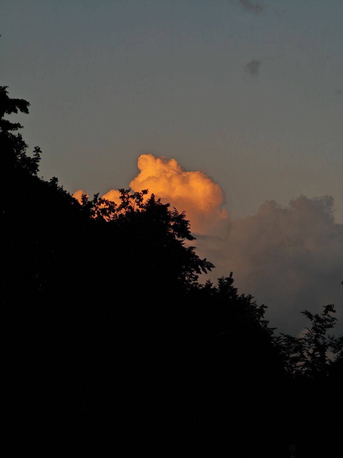 Photo #12870054