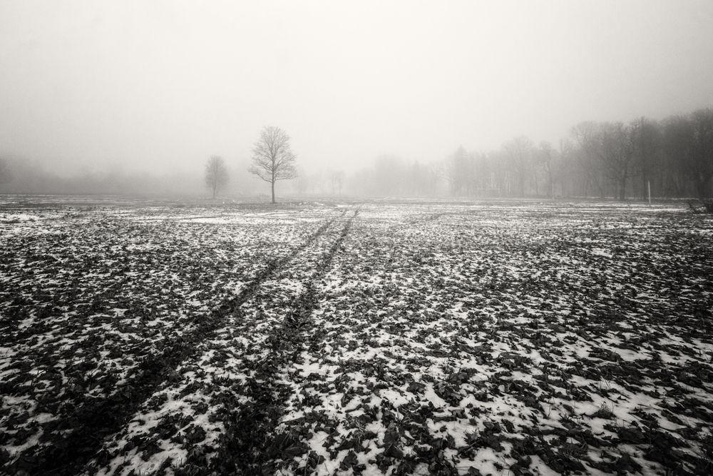 Фотография автора Ирина Заколдаева