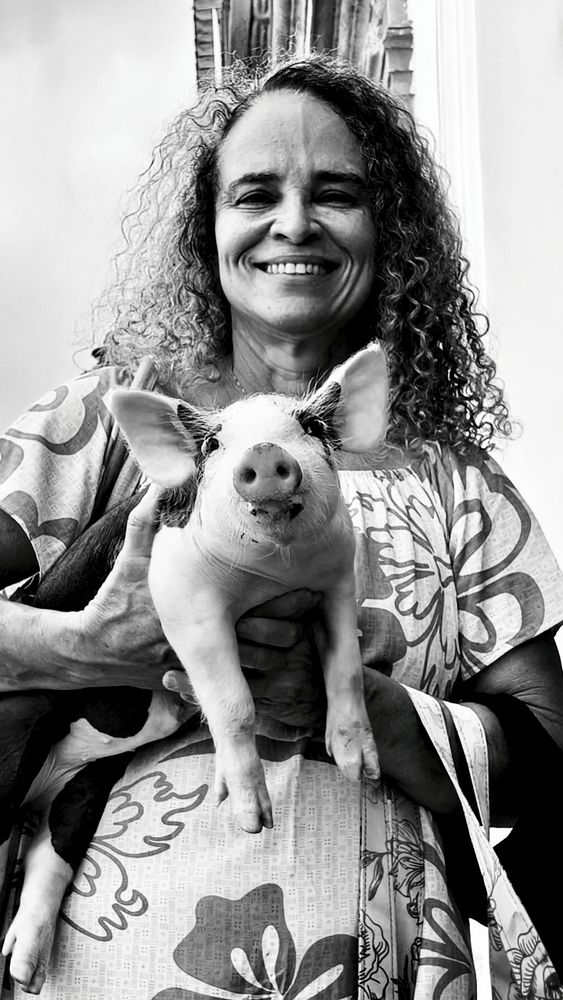Pig in Bahia