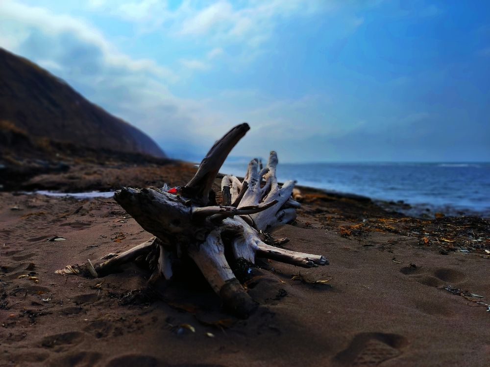 Photograph by Дмитрий Мухамедзянов