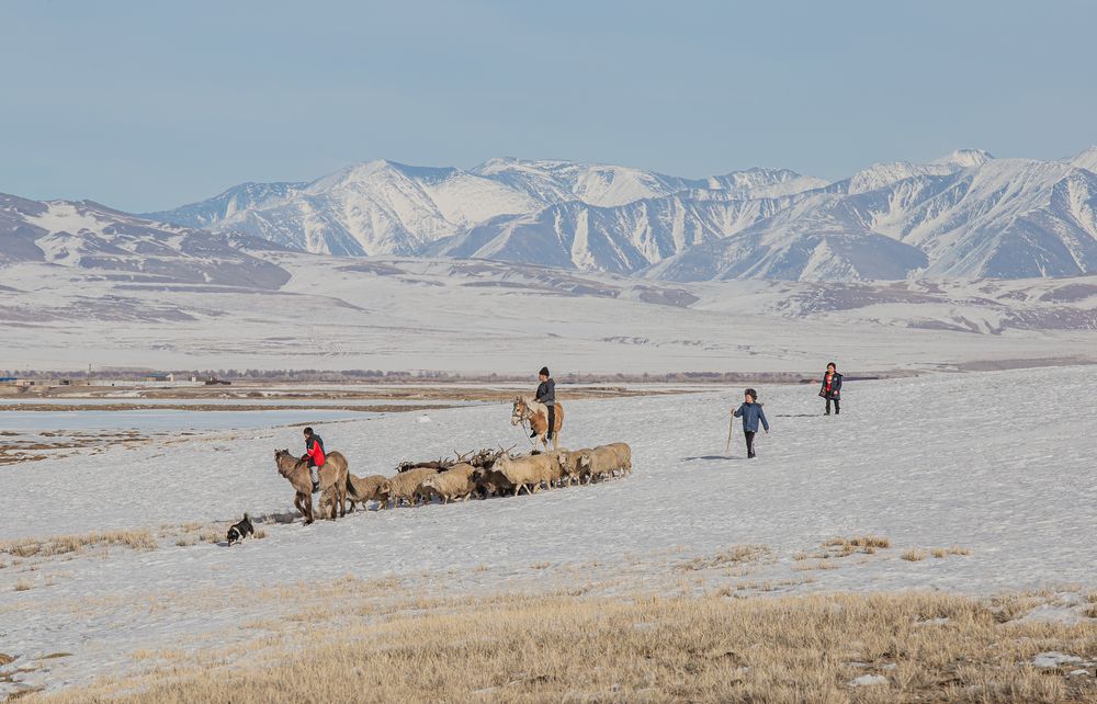 Photograph by Елена Павлова