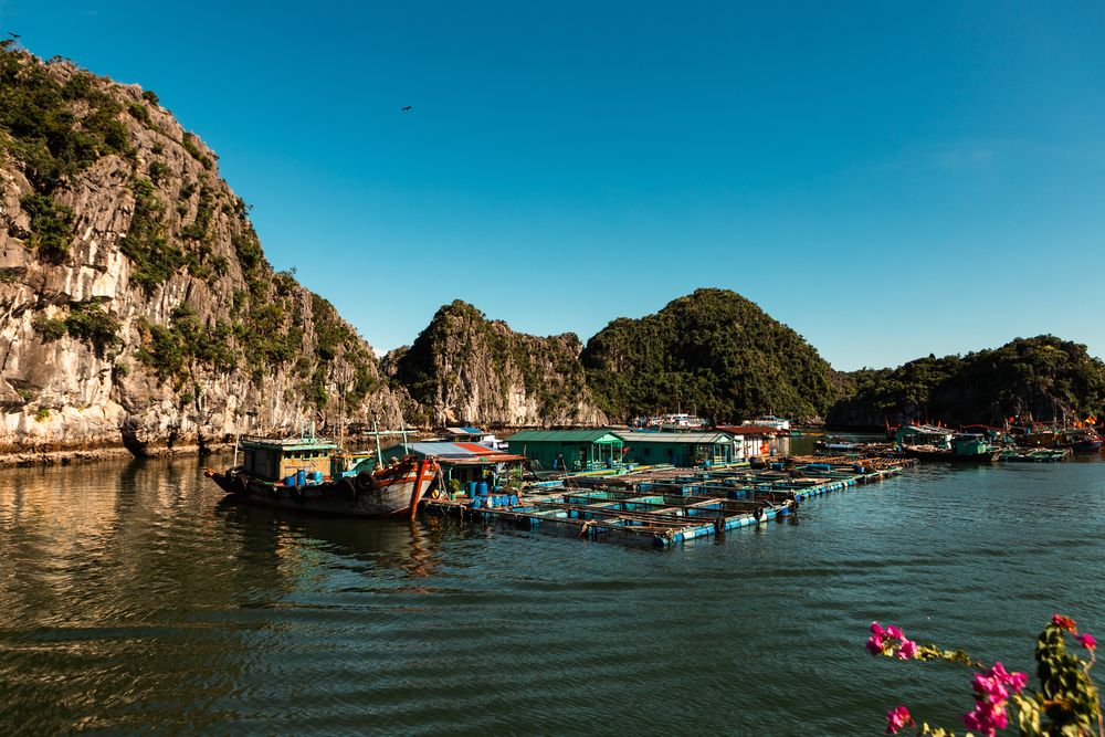 Photograph by Khiêm Nguyễn Xuân