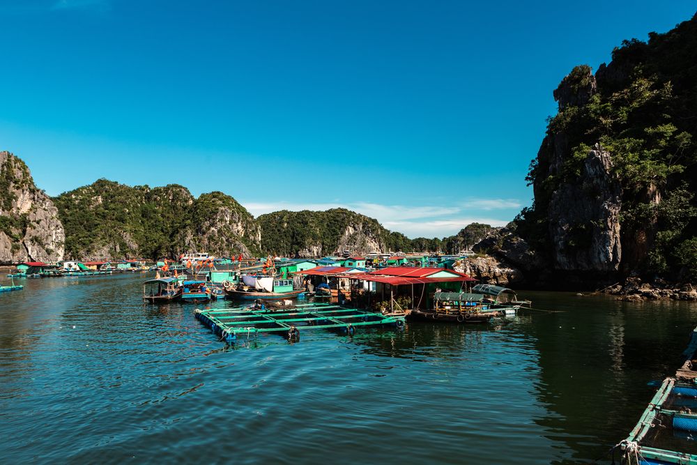 Photograph by Khiêm Nguyễn Xuân
