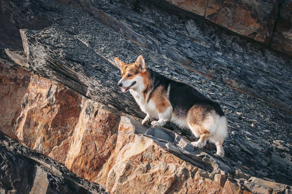 Photograph by Крис Мозер
