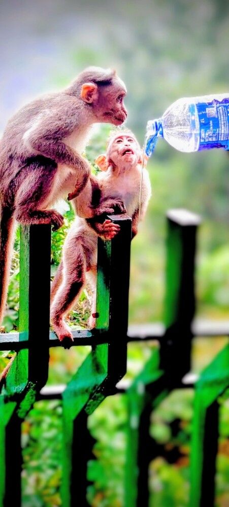 Photograph by Elayaraja k