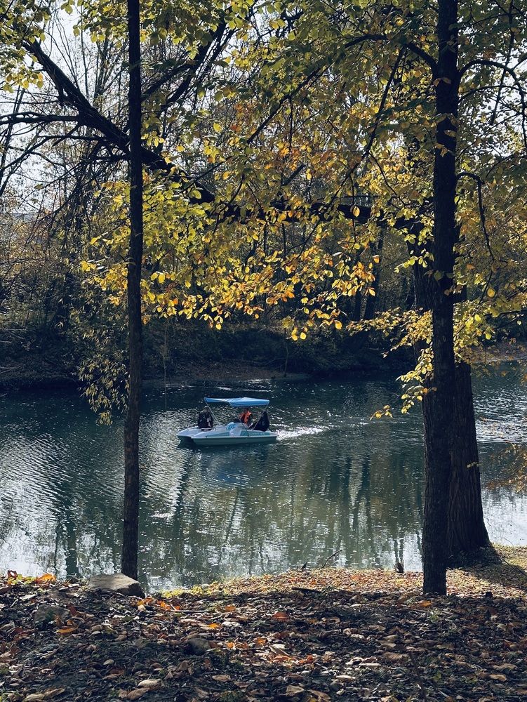 Photograph by Ксения Гулькова