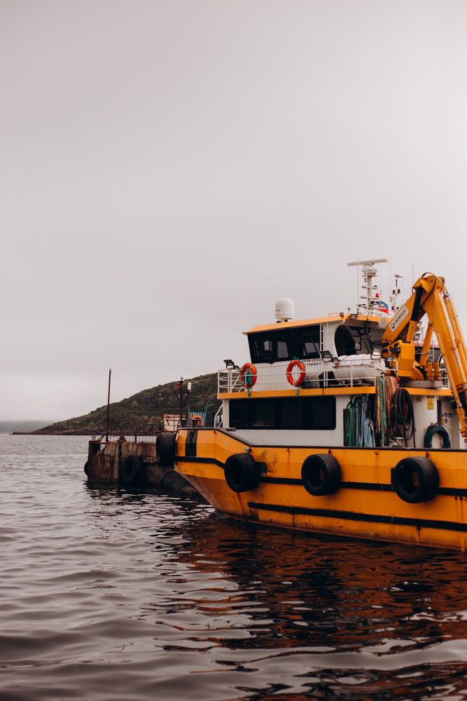 Photograph by ALISA NEZHINSKAYA