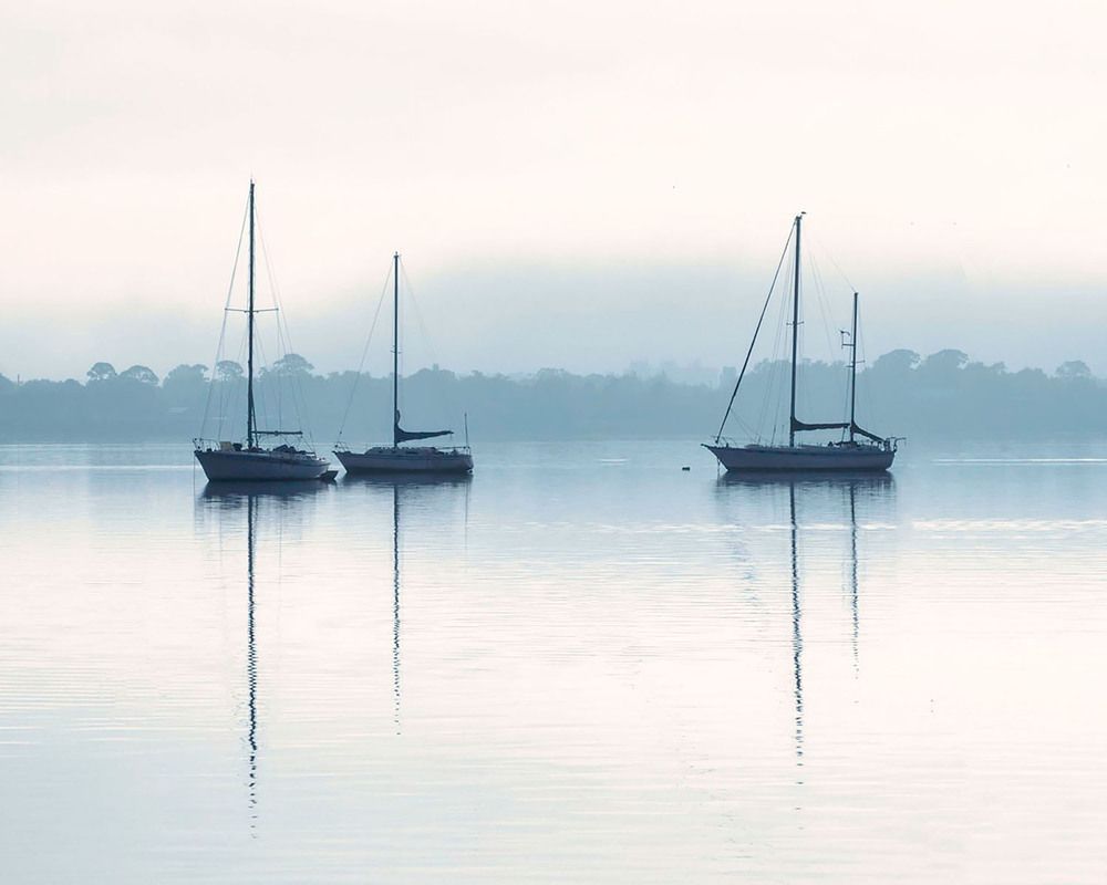 Фотография автора Ray Asiala