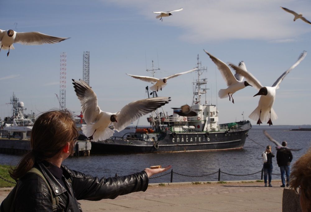 Photograph by Андрей Корытов