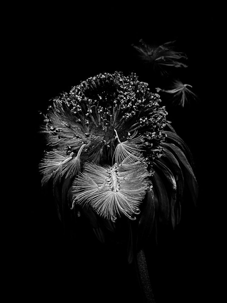Photograph by Олена Уманцева