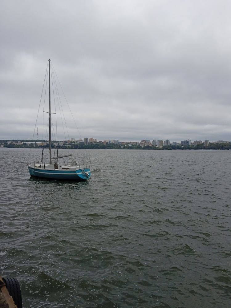 Photograph by Светлана