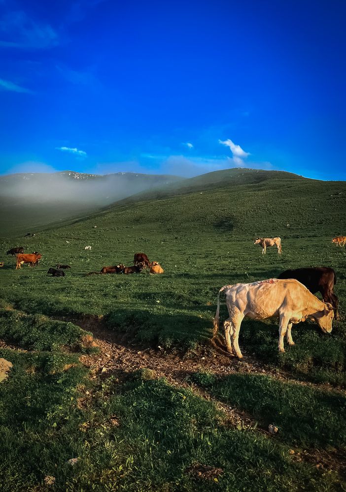 Photograph by Юлия