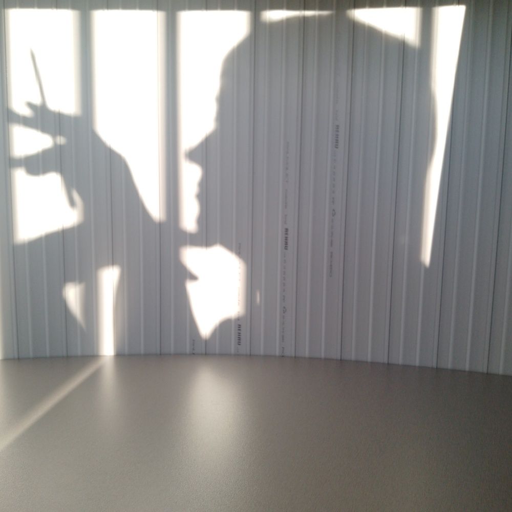 Фотография автора Елена Дубовикова