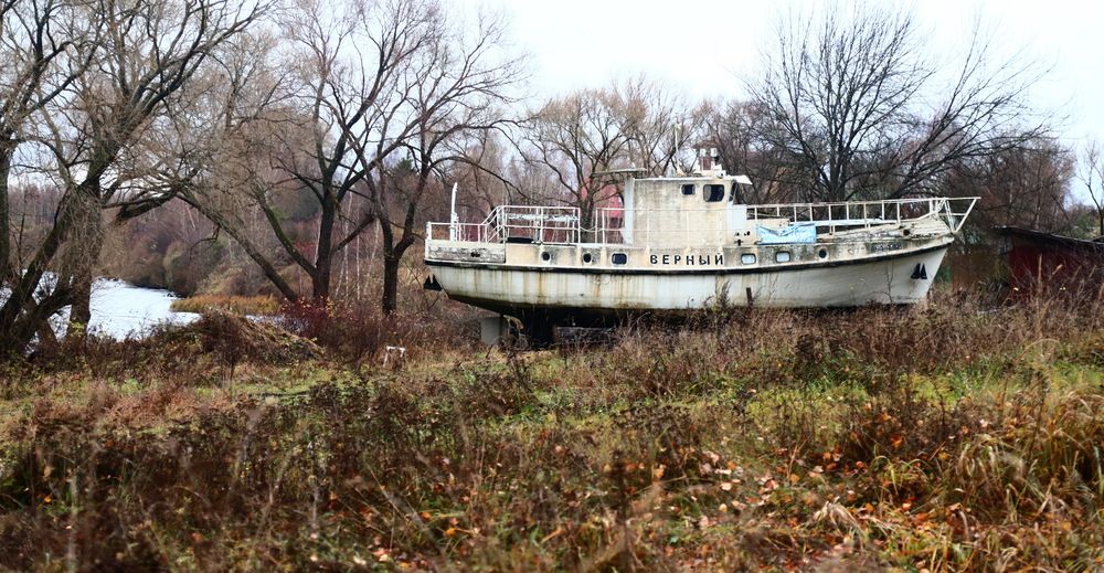 Photograph by Лада Денисова