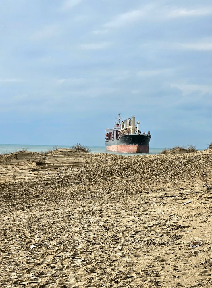 Фотография автора Tatiana Shirenko