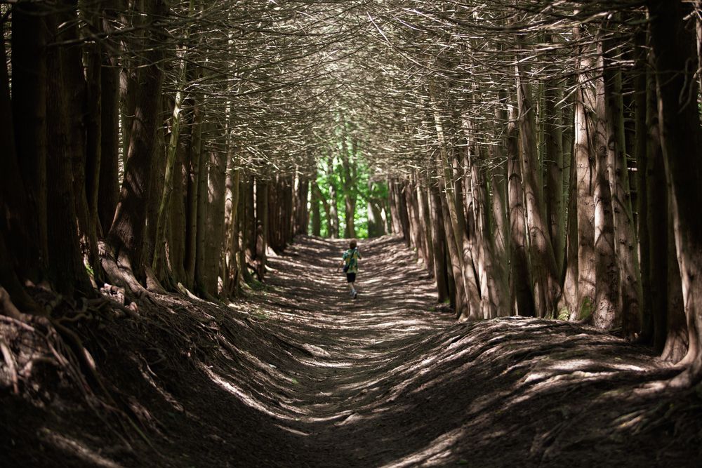 Photograph by Виталий Са