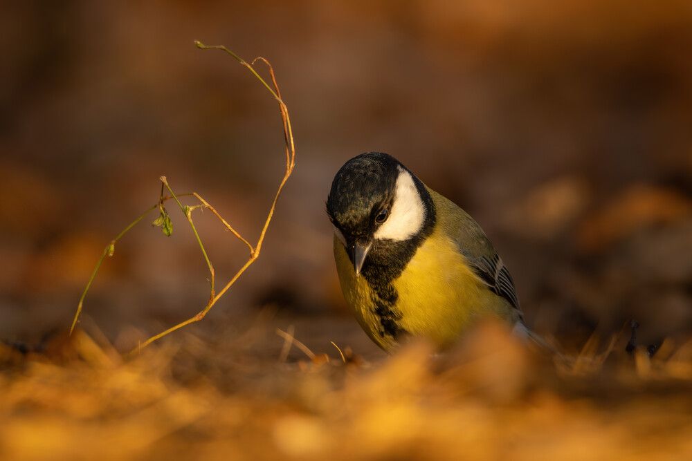 Photograph by Бурыкин Илья
