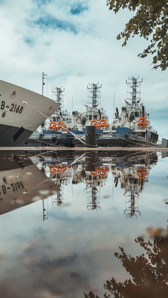 Photograph by Дарья