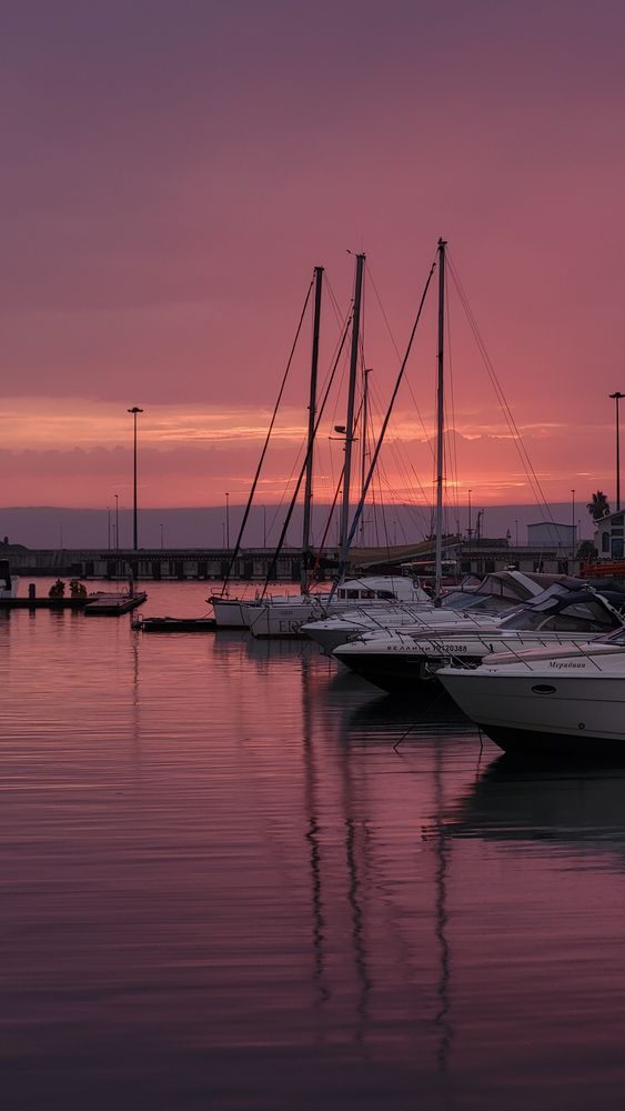 Photograph by Дарья