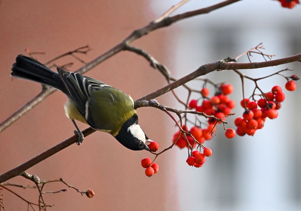 Фотография автора Ушакова Елена
