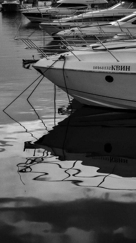 Photograph by Дарья