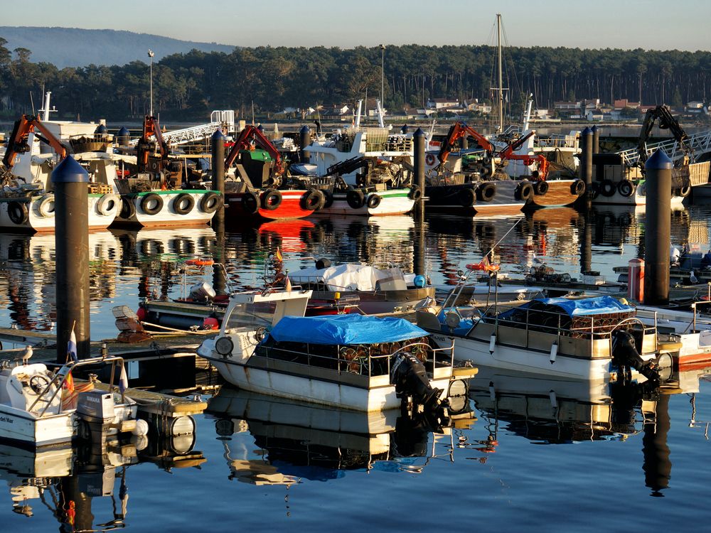 Photograph by Михаил Янкин