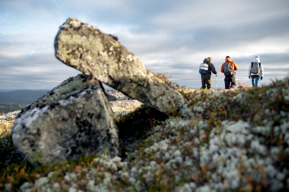 Photograph by Ксения Рябухина