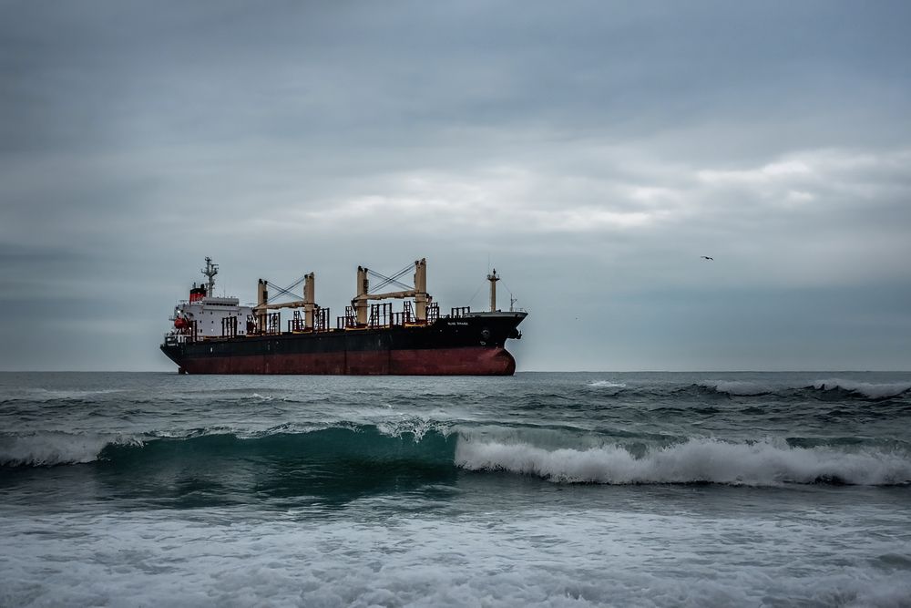 Photograph by Наталья Орел