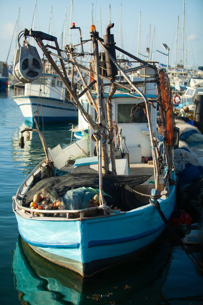 Photograph by Lada Tregubov