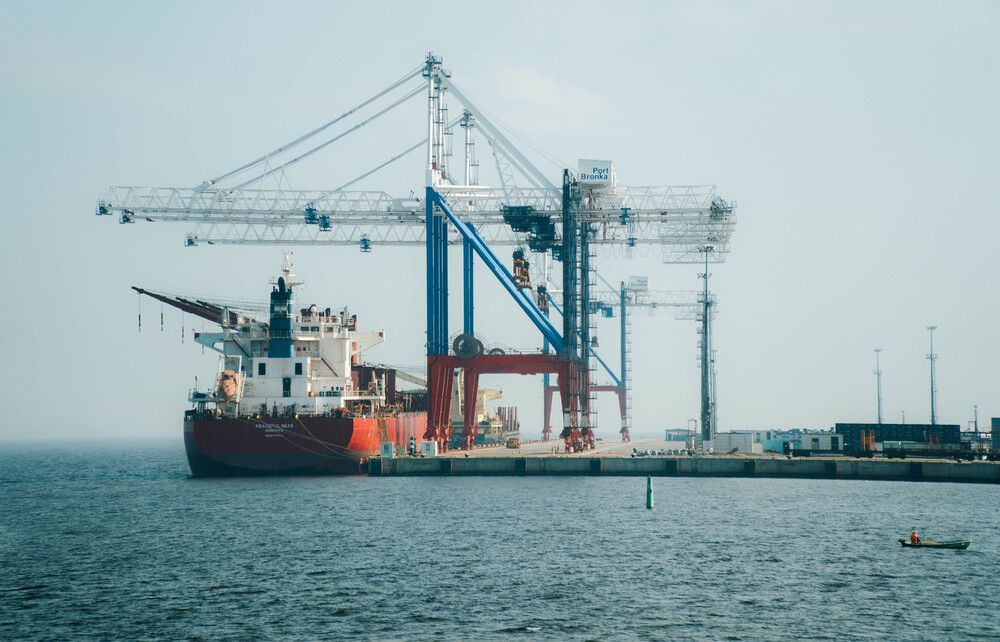 Photograph by Ekaterina Barashkova