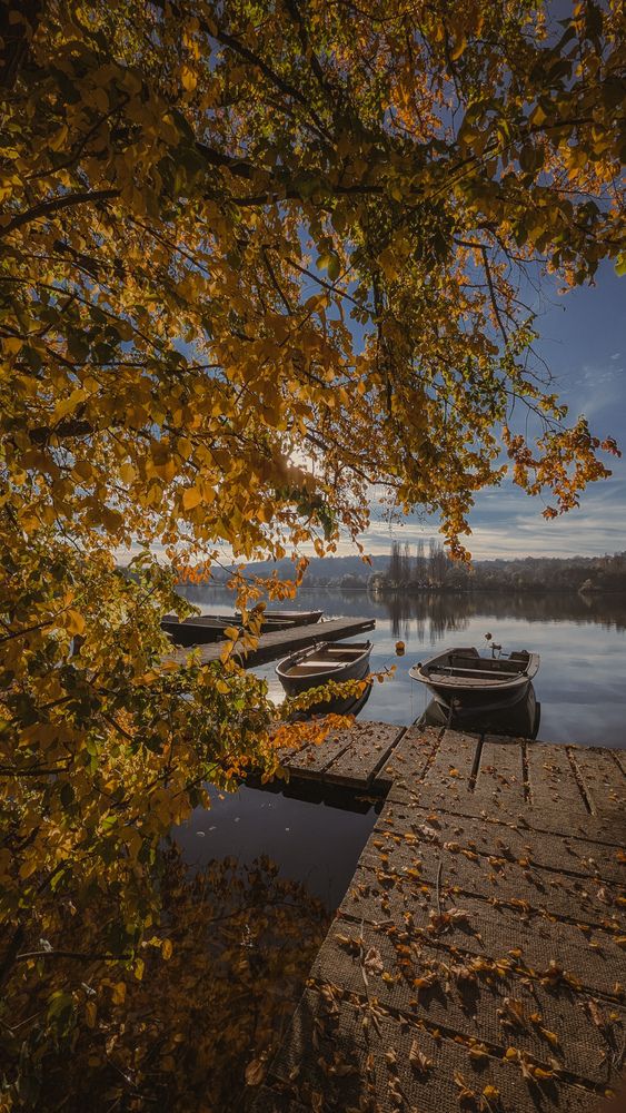 Photograph by Iryna Usanova