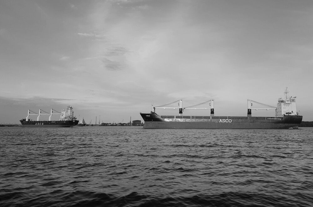 Фотография автора Елена Пикатова