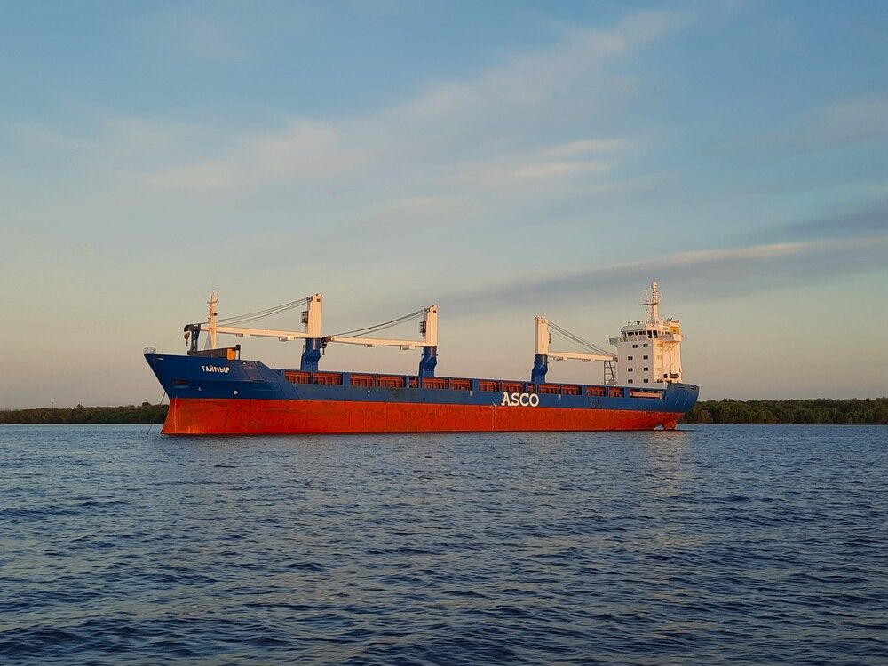 Фотография автора Елена Пикатова