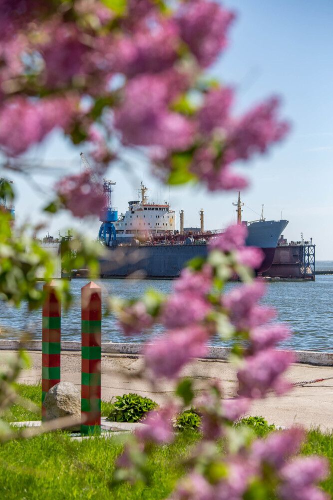 Photograph by Евгения Бочарова