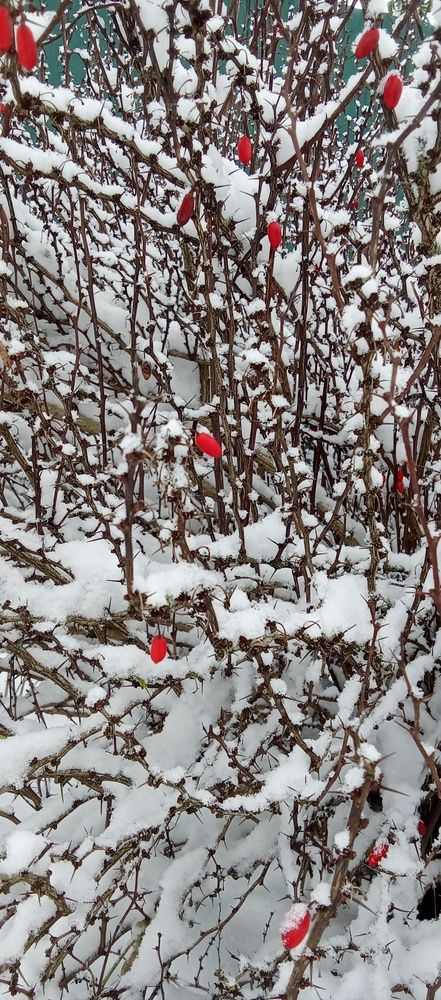 Зимняя красота.