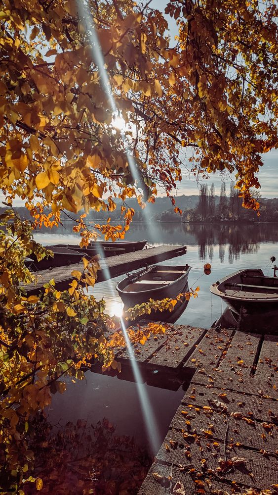 Photograph by Iryna Usanova