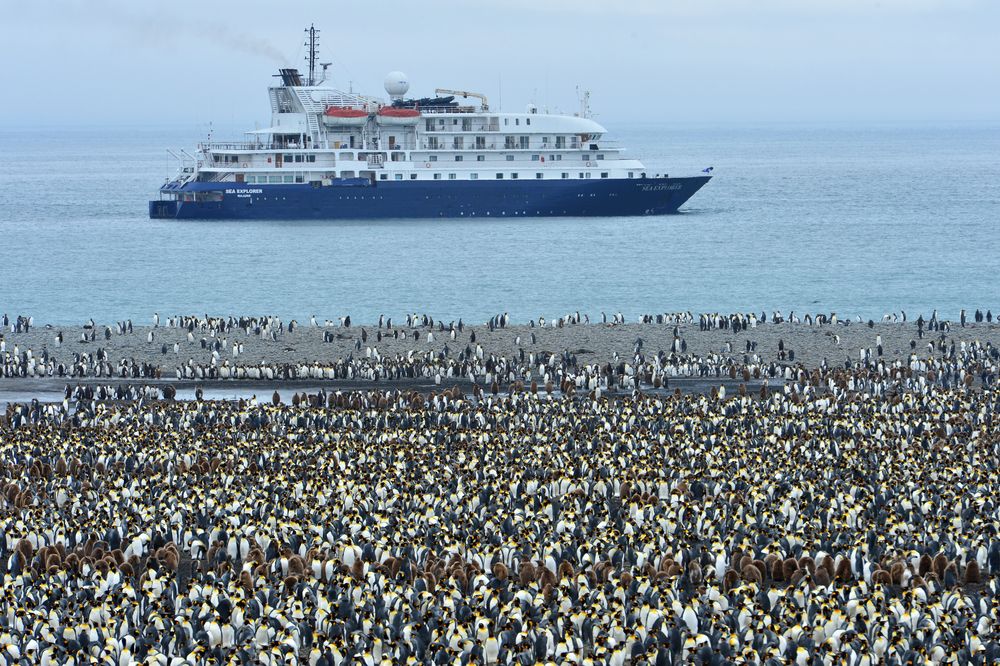 Photograph by Eliseev Nikolay