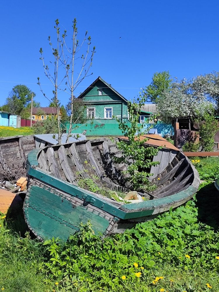 Photograph by Олеся Хижко