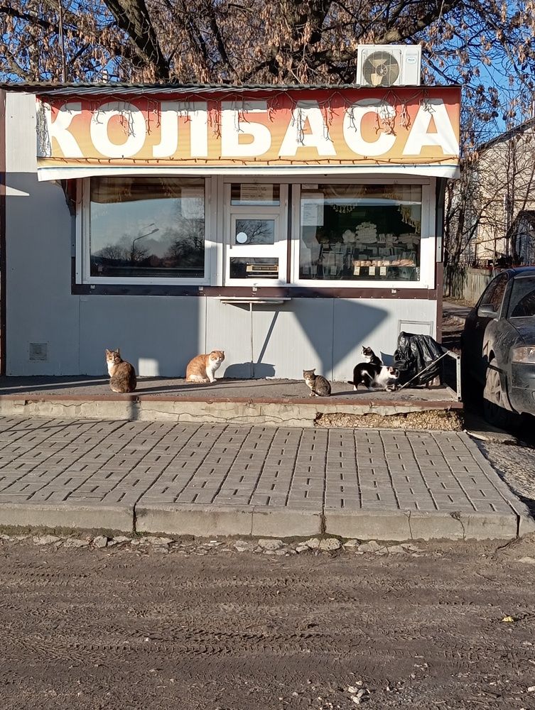Очередь