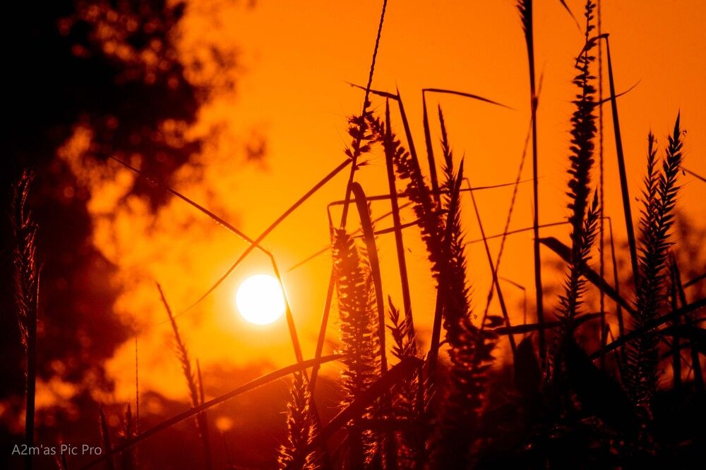 SUNSET FROM BENIN