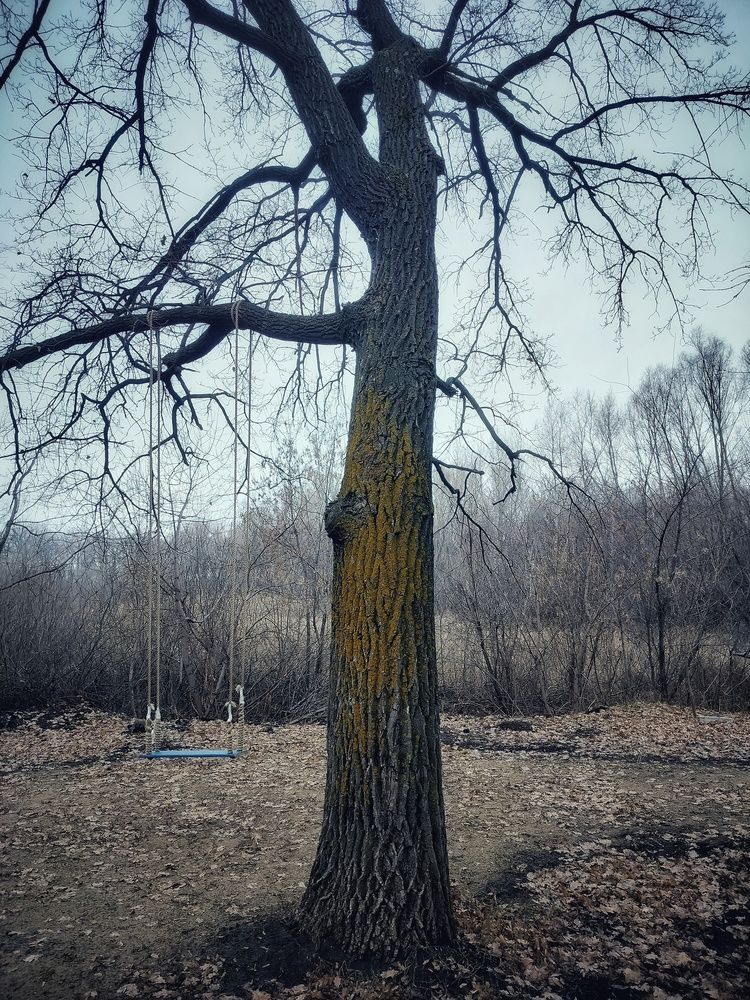 Качели