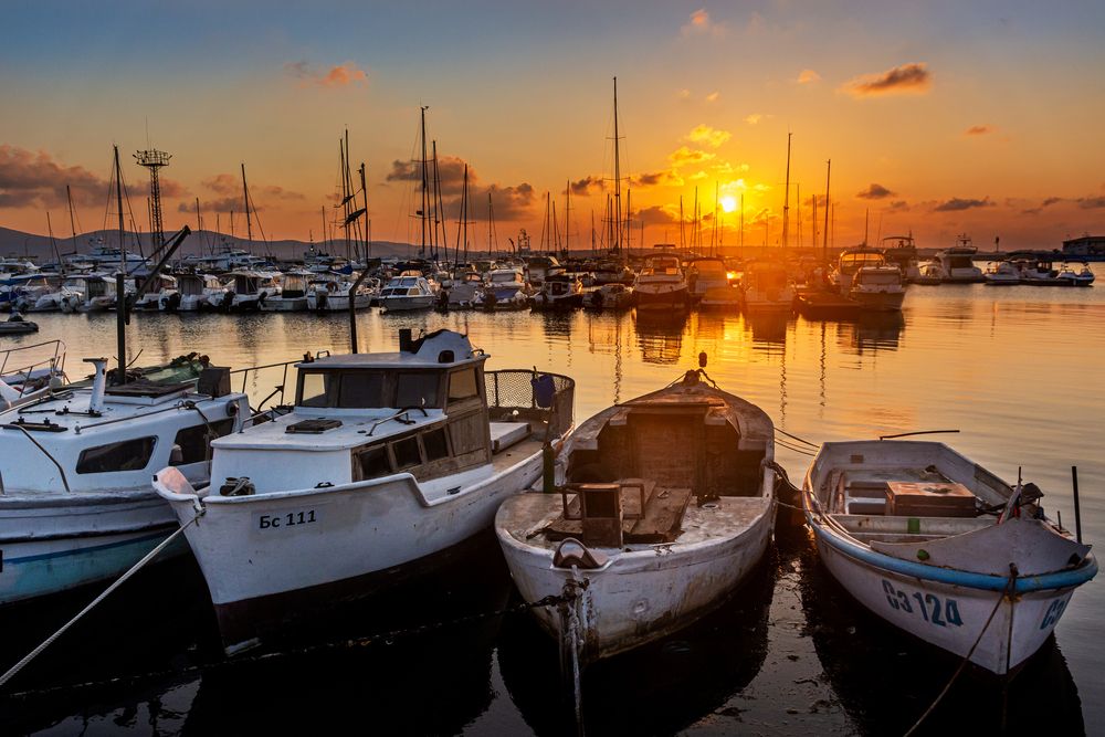 Марина Созополя