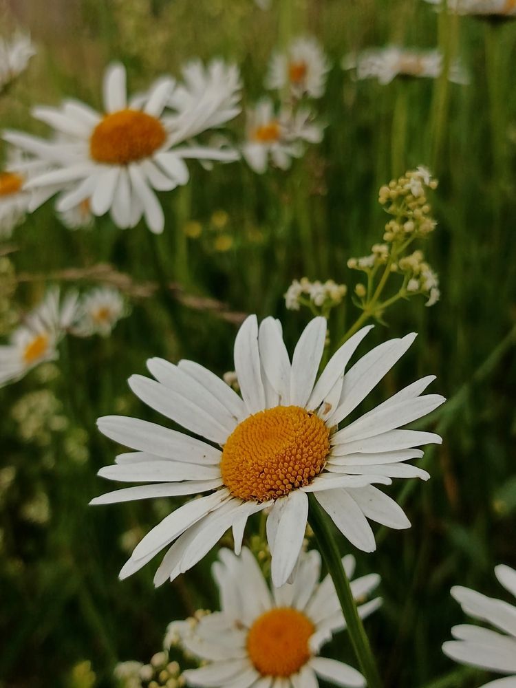 Photograph by Екатерина Зязина