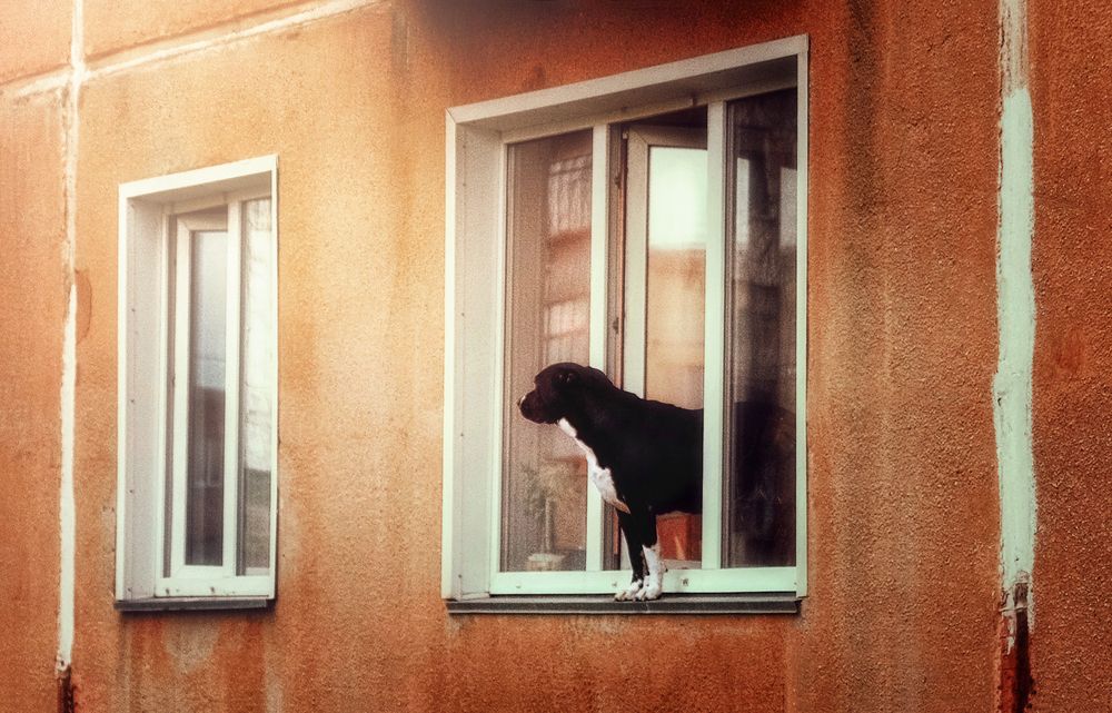 Photograph by Юлия Лушникова