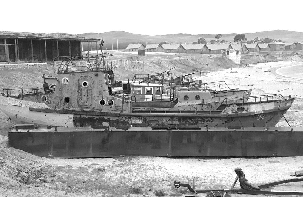 Фотография автора Елена Пикатова