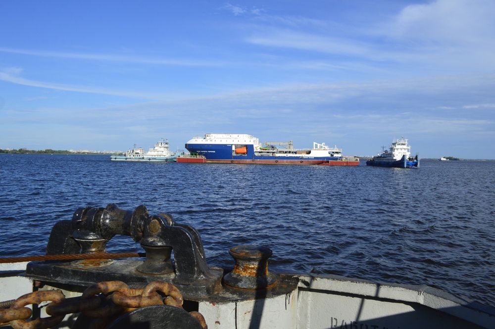 Фотография автора Клавдия Васильева