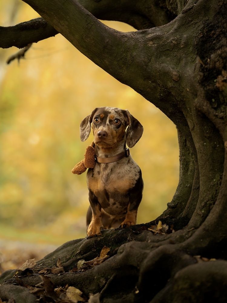 Photograph by Tessa van Giessen