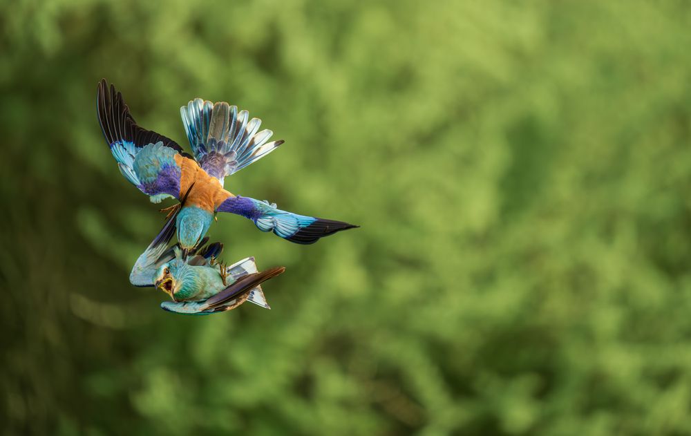 Photograph by Tímea Ambrus