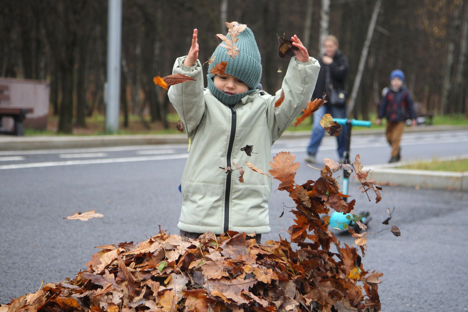 Photo #12872506